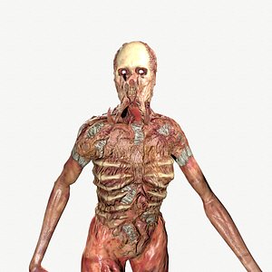 Experiment 3D model