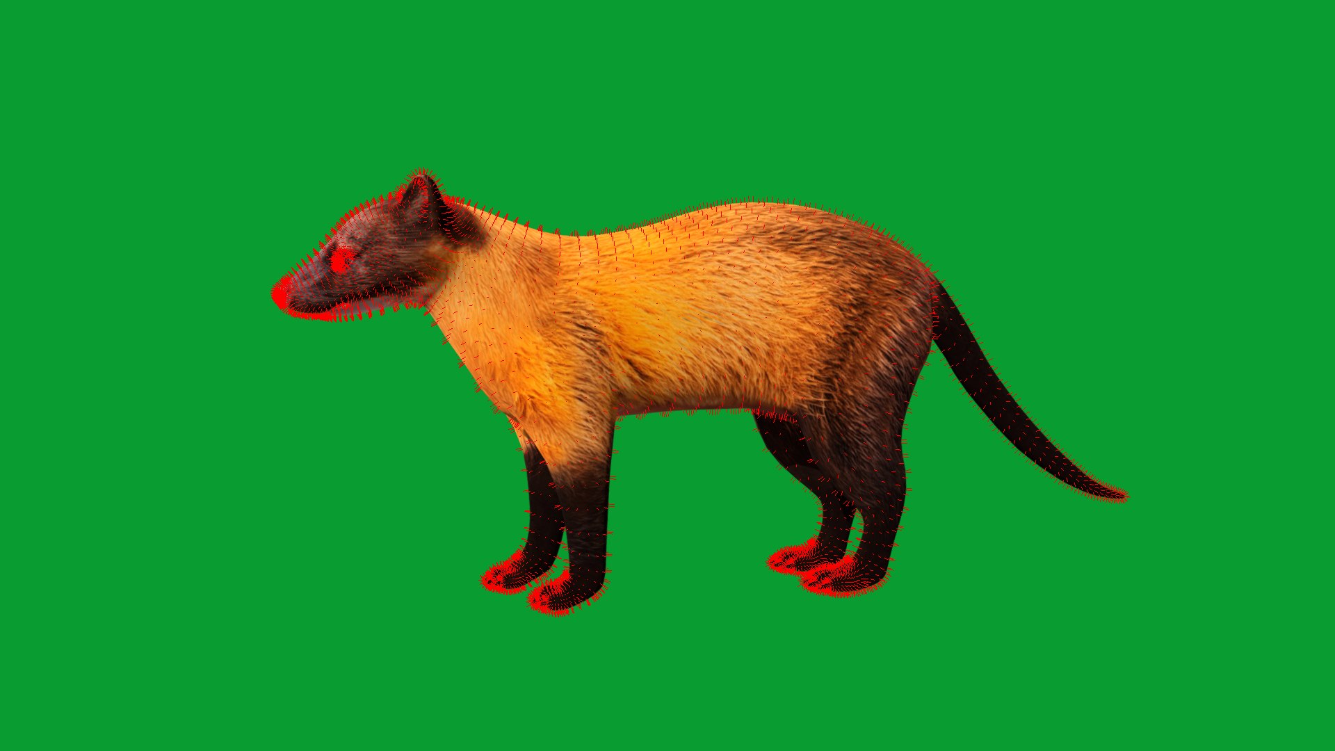 Yellow Throated Marten model https://p.turbosquid.com/ts-thumb/KS/mMecN2/DX/yellowthroated_martens25/png/1780868805/1920x1080/fit_q87/8d844a4c9e2e1c5951763eec19f2f930a1b94da8/yellowthroated_martens25.jpg
