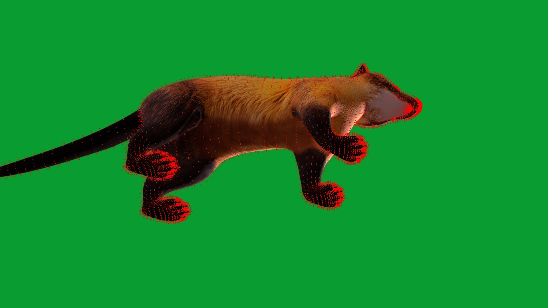 Yellow Throated Marten model https://p.turbosquid.com/ts-thumb/KS/mMecN2/Tw/yellowthroated_martens24/png/1780868802/1920x1080/fit_q87/492e04f56895ff14292924c54496f570860274d1/yellowthroated_martens24.jpg
