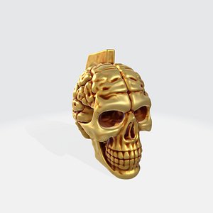 Golden Brain Skull 3D