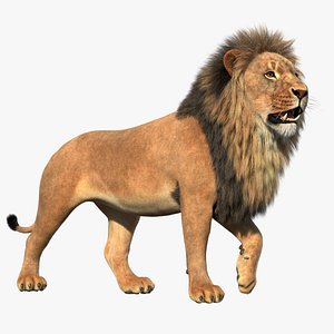 Rigged Lion