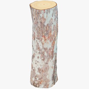 Log V4 3D model