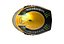 hamilton 2013 f1 helmet 3ds