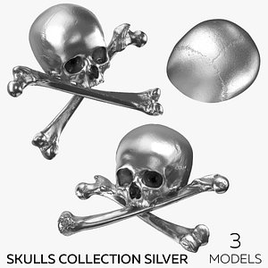 Pirate Skulls and Bones Collection Silver - 3 models 3D model