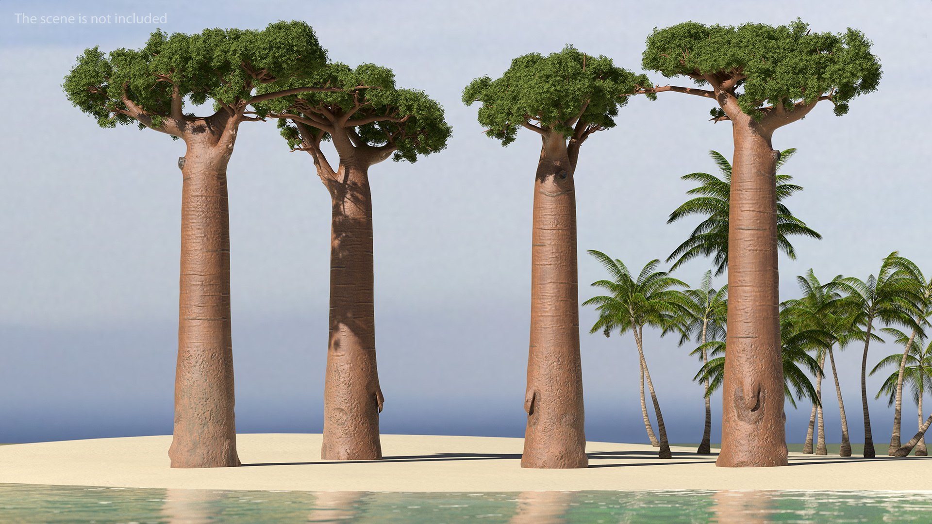 Baobab Tree 3D model preview
