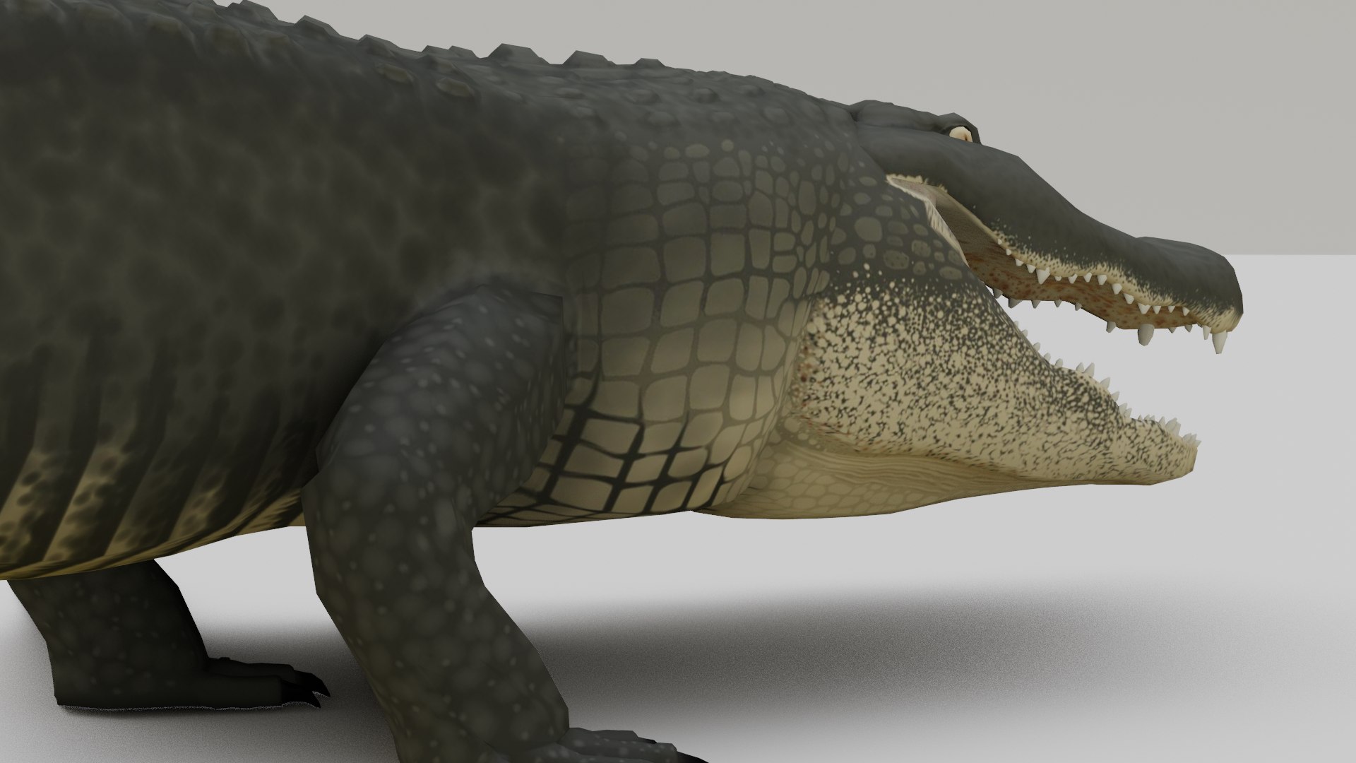 3D Cocodrile https://p.turbosquid.com/ts-thumb/KT/3P8erB/dA/drdyutrdaaaaasqasd/png/1731032369/1920x1080/fit_q87/202a5a87a6fc524e21ea798866faeceaa36ea607/drdyutrdaaaaasqasd.jpg