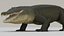 Cocodrile