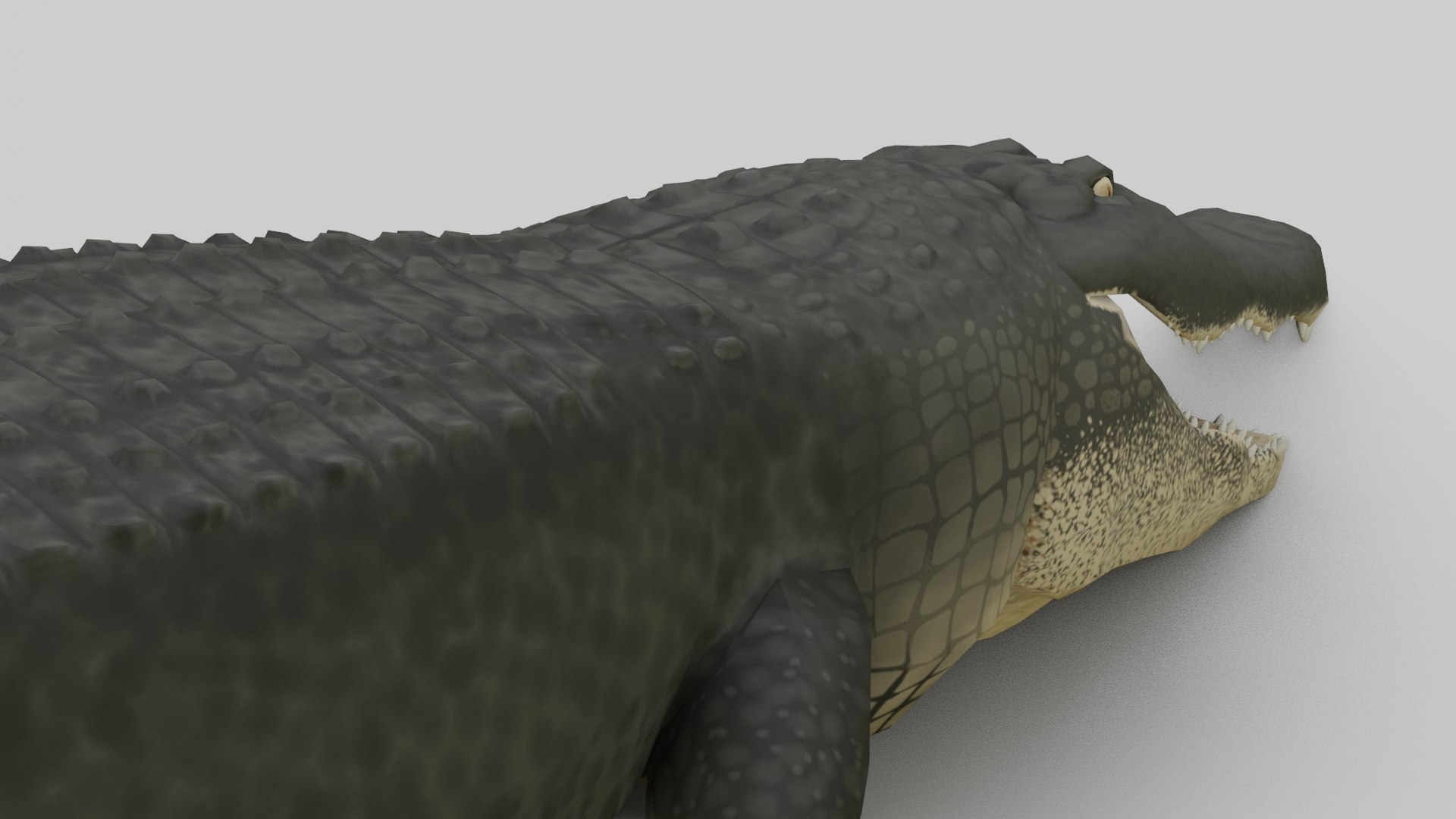 3D Cocodrile https://p.turbosquid.com/ts-thumb/KT/3P8erB/f4/drdyutrdaaasd/png/1731032370/1920x1080/fit_q87/57db66e6ed2f4ec2687a0f984c9a3d0e119b9d5a/drdyutrdaaasd.jpg