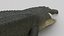 Cocodrile
