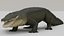 Cocodrile