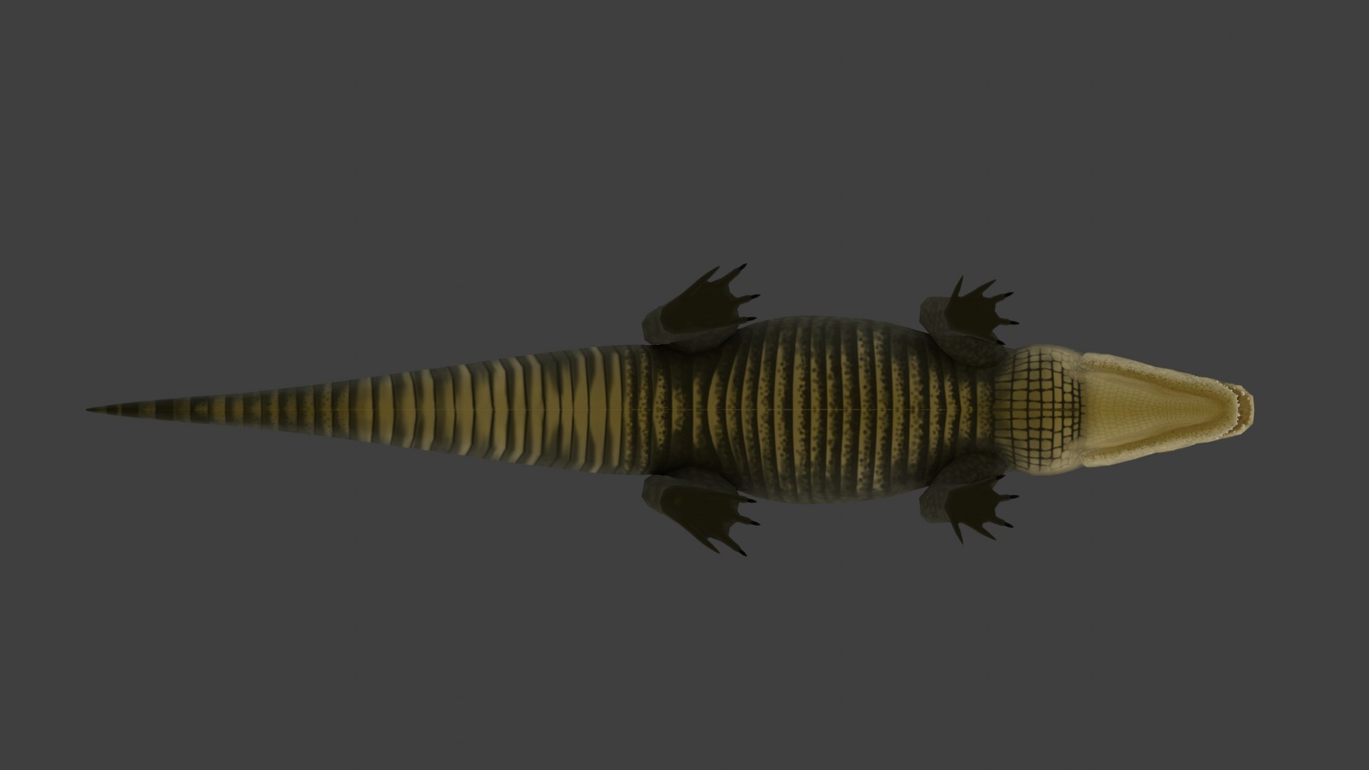 3D Cocodrile https://p.turbosquid.com/ts-thumb/KT/3P8erB/o5/drdaqwyq8dad/png/1731032364/1920x1080/fit_q87/32ab58e35469b06908de92061c3635271411126d/drdaqwyq8dad.jpg