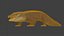 Cocodrile