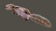 Squirrel  RIG  XGEN-CORE 3D model