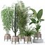 3D model 20 Photorealistic Flowers for Interiors - set 121 127 132 137