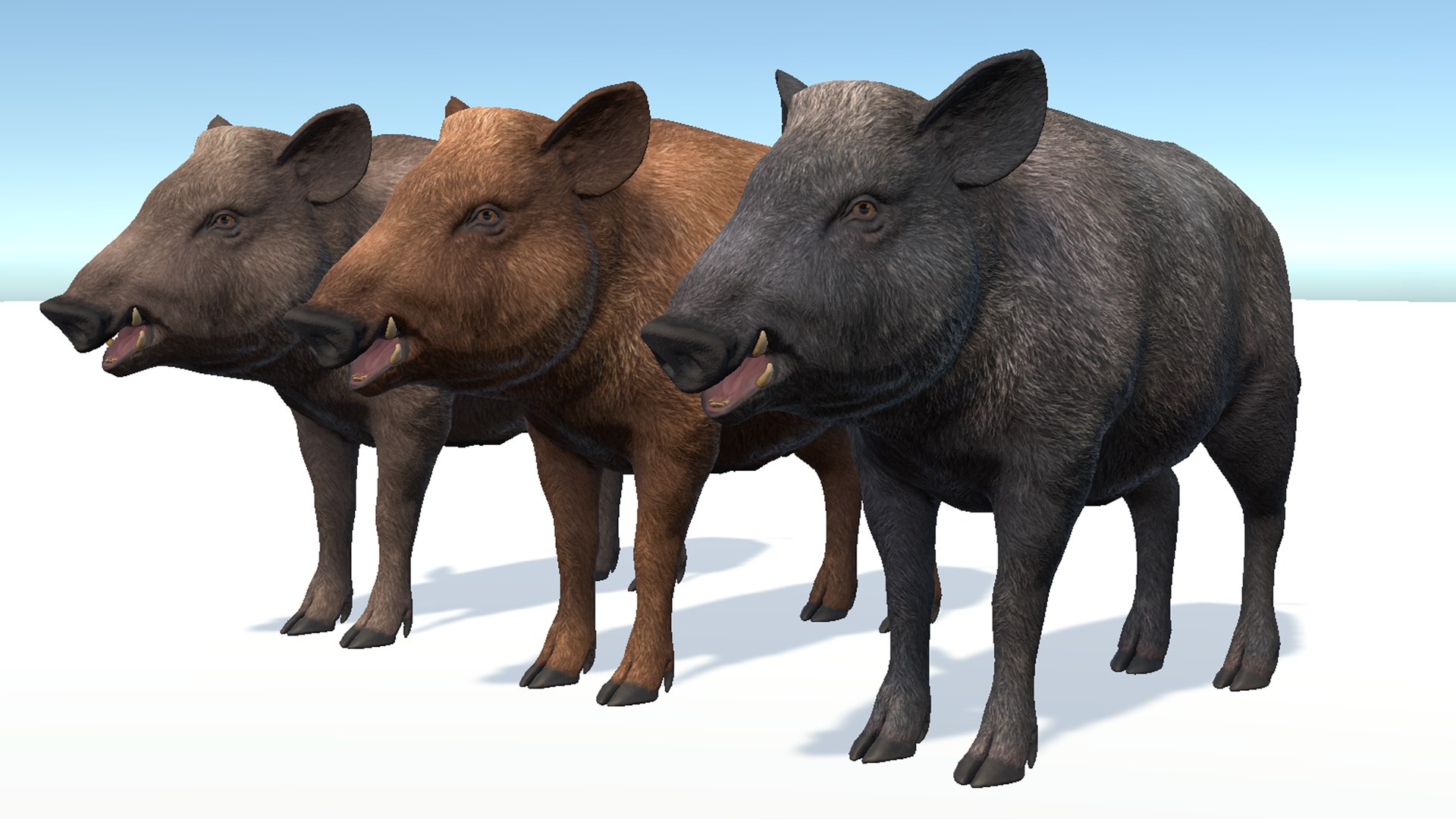 3D Wild Boar Family model - TurboSquid 2101342