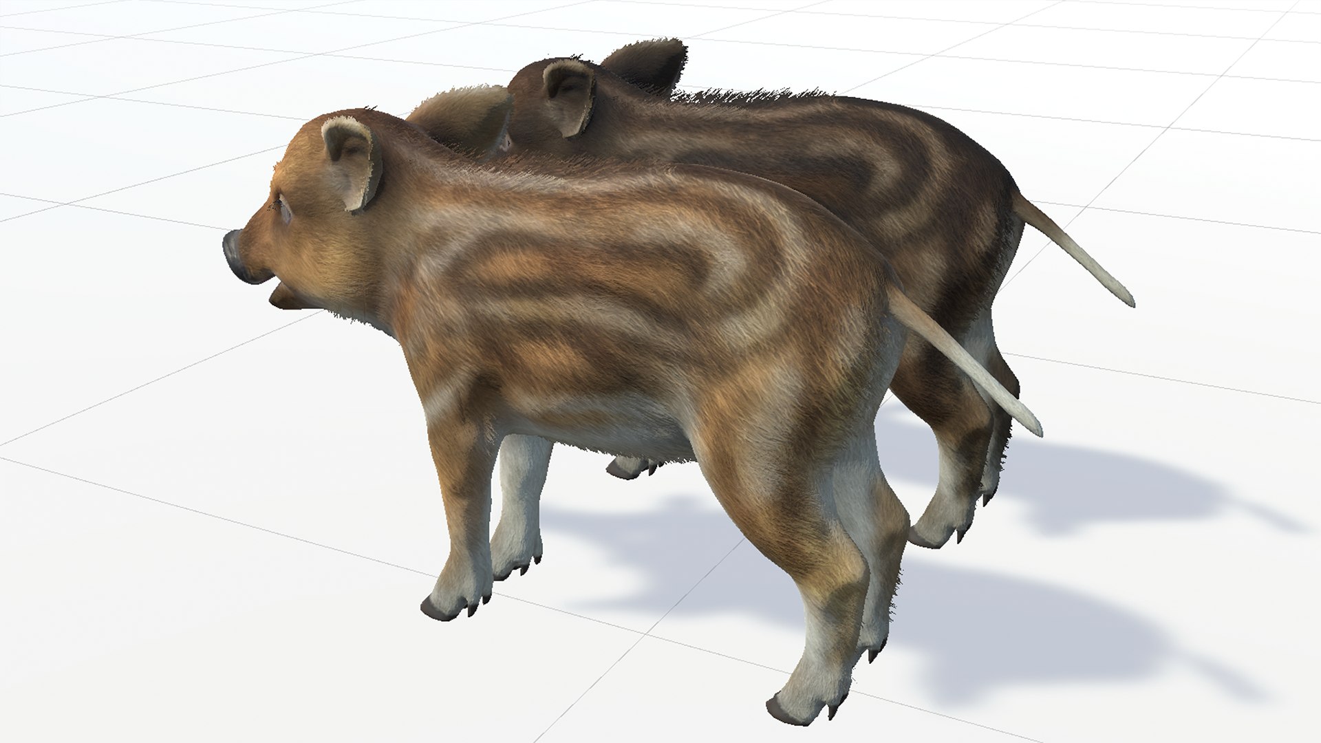 3D Wild Boar Family model - TurboSquid 2101342