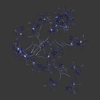 Neural Network