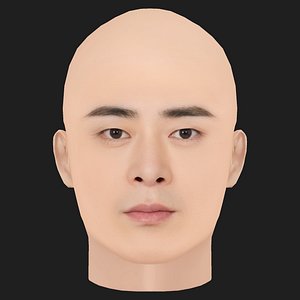 Low Poly Jo Jung-suk Head