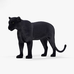 3D black panther