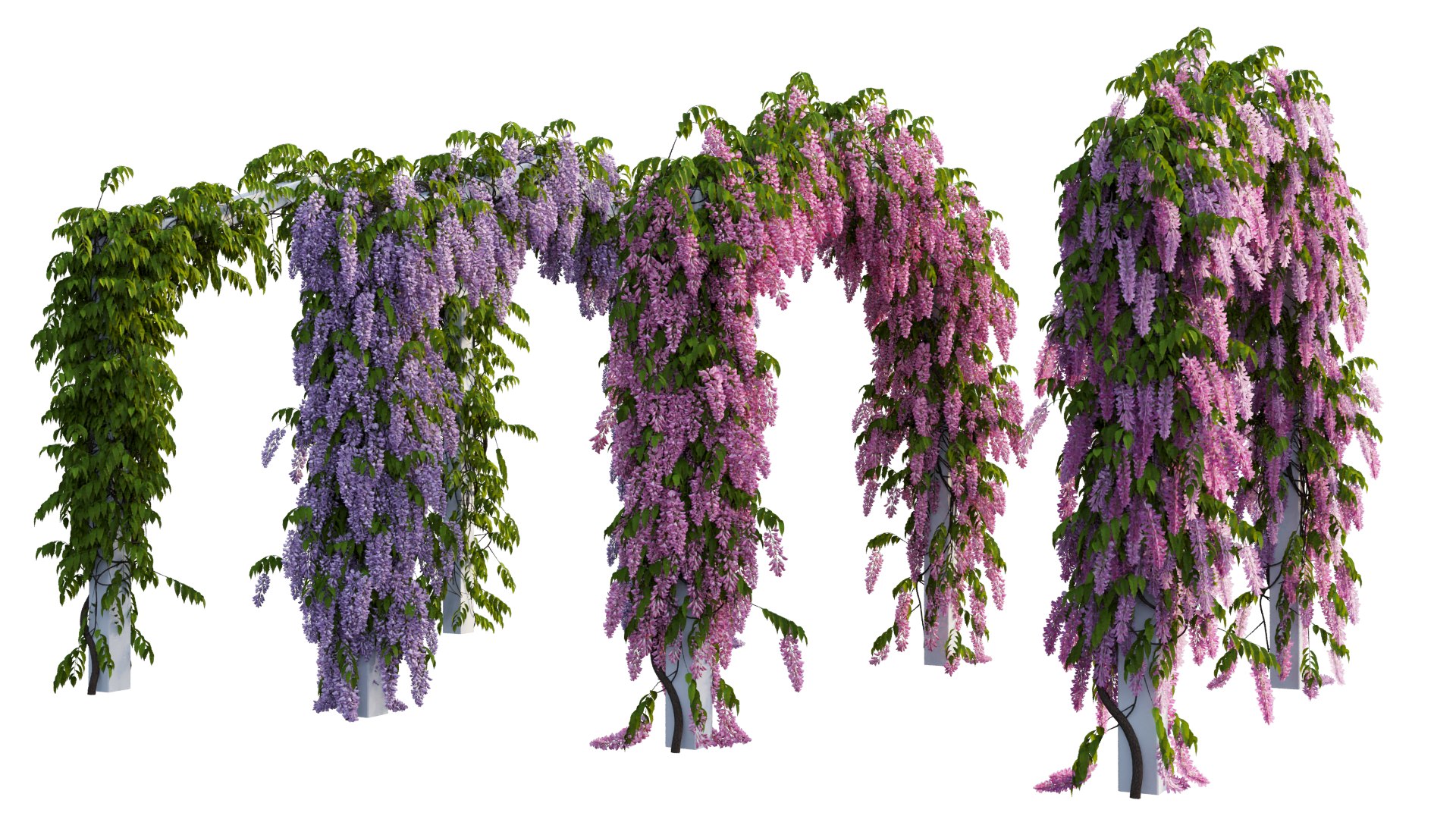 tree 10 3D model https://p.turbosquid.com/ts-thumb/KU/BdGPLe/Xd/1_interactivelightmix/png/1607253948/1920x1080/fit_q87/4f2759927e317ff1f314f20a62e1119f030a6e9f/1_interactivelightmix.jpg