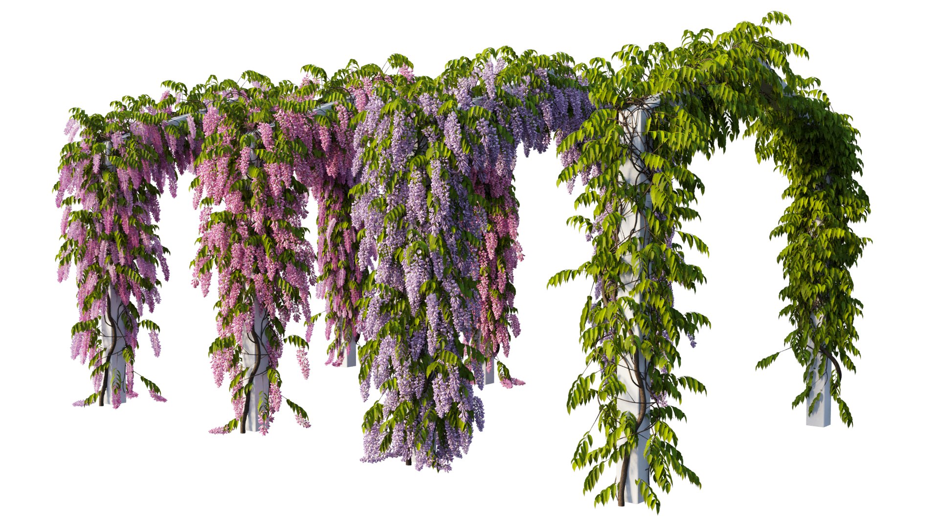 tree 10 3D model https://p.turbosquid.com/ts-thumb/KU/BdGPLe/Zj/2_interactivelightmix/png/1607253949/1920x1080/fit_q87/12a1fd4d2e2e0e43f441489e71de68e873671a5a/2_interactivelightmix.jpg