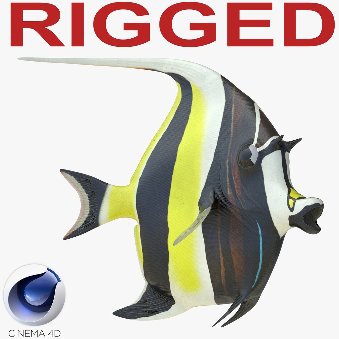Moorish Idol Fish Rigged for Cinema 4D 3D model preview
