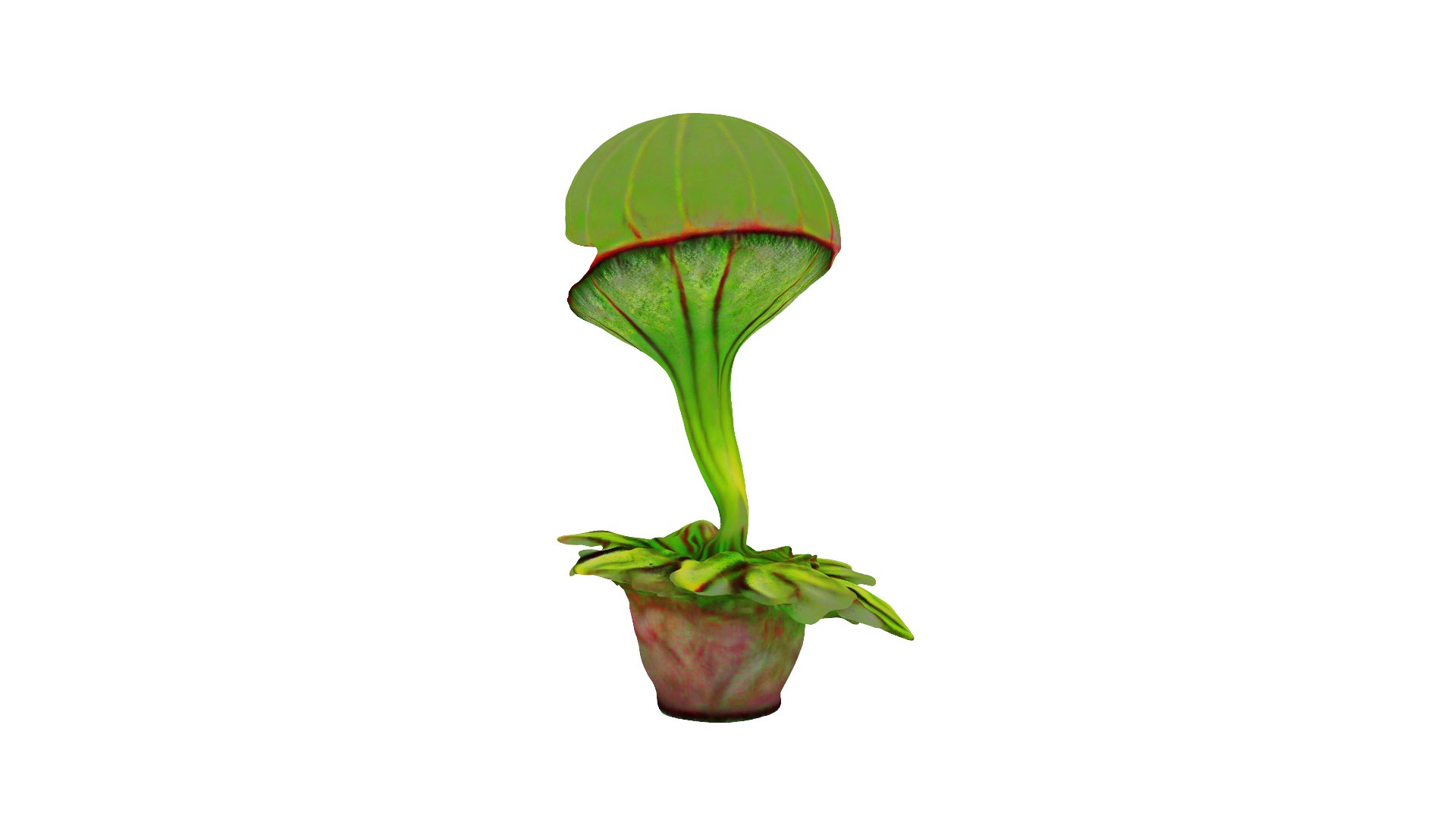 3D Carnivorous Plant - TurboSquid 2278358