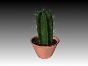 max desert cactus vase