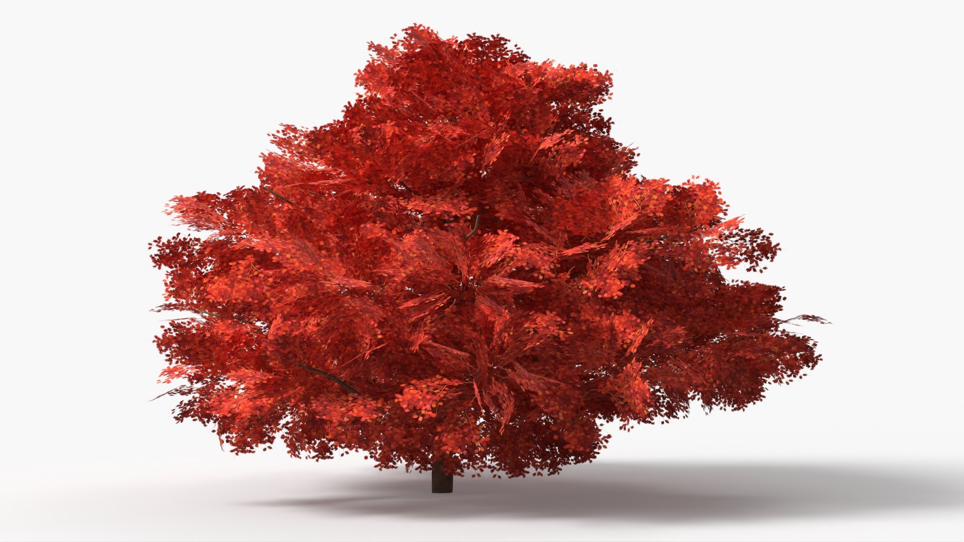 LowPoly Garden Shrubs Set Multicolor 3D model https://p.turbosquid.com/ts-thumb/KU/MB75Gs/mK/lowpoly_garden_shrubs_set_multicolor_006/jpg/1778032086/1920x1080/fit_q87/01dc6767fc7f562c8b11765a7d1652ad89067d8f/lowpoly_garden_shrubs_set_multicolor_006.jpg