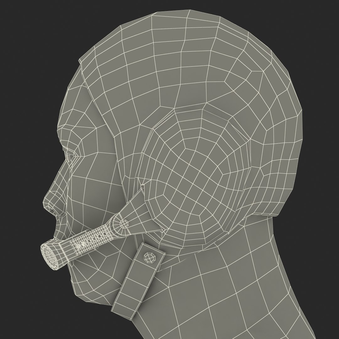 3d chinese pilot head rigged https://p.turbosquid.com/ts-thumb/KU/ZuPIfE/PgEJbZ07/chinesepilotheadrigged3dmodel31/jpg/1441627875/1920x1080/fit_q87/2ef1687ad7626ec4ebaeb550a81826d20a8840d8/chinesepilotheadrigged3dmodel31.jpg