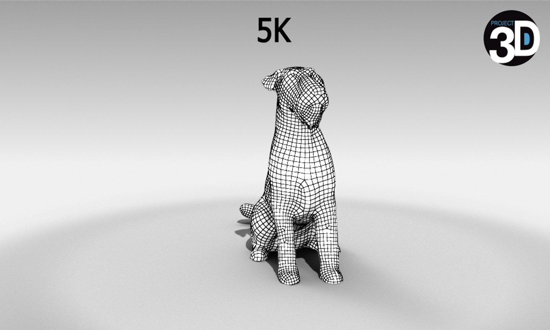 Scanned Dogs - Model - TurboSquid 1276529