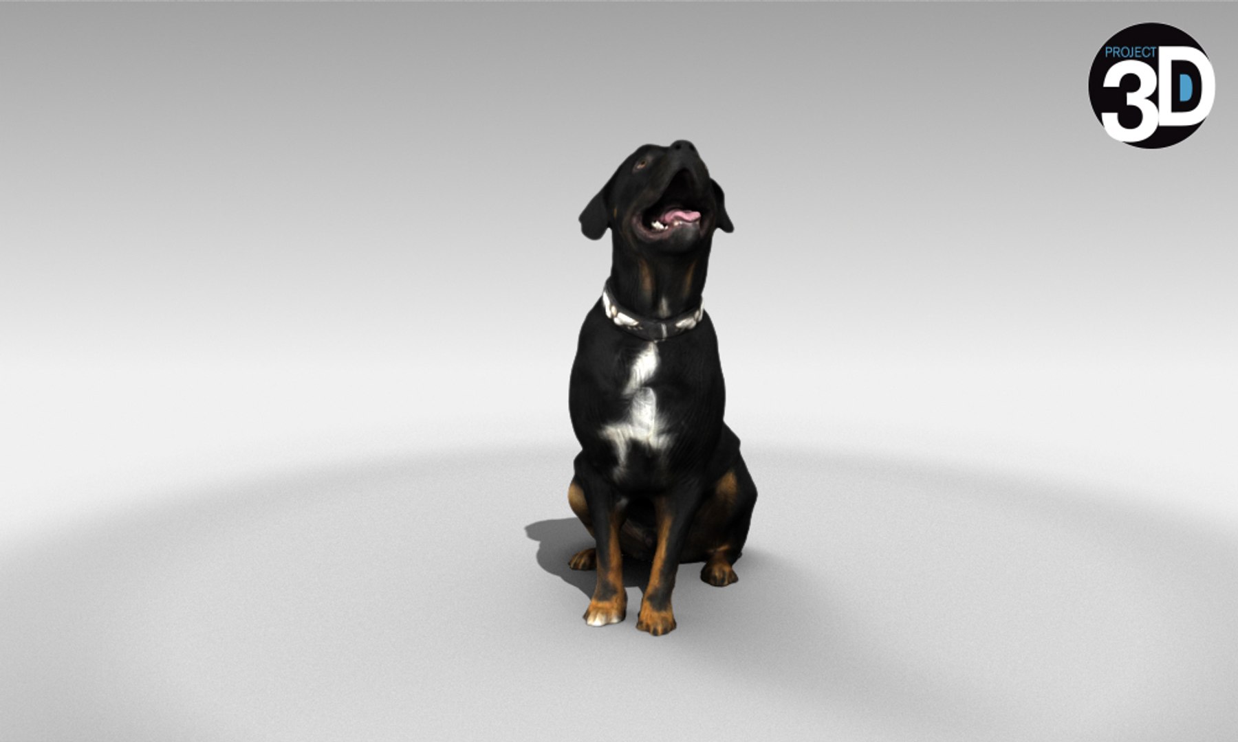 Scanned Dogs - Model - TurboSquid 1276529