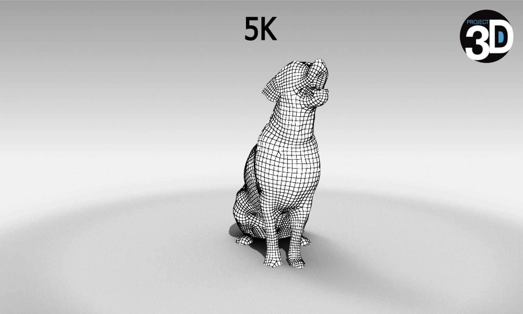 Scanned Dogs - Model - TurboSquid 1276529