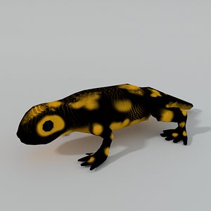 Salamander