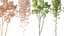 AV 4 trees Castanea Sativa and Betula Pendula