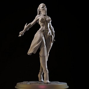 3D Assasin Girl 3d Printable model