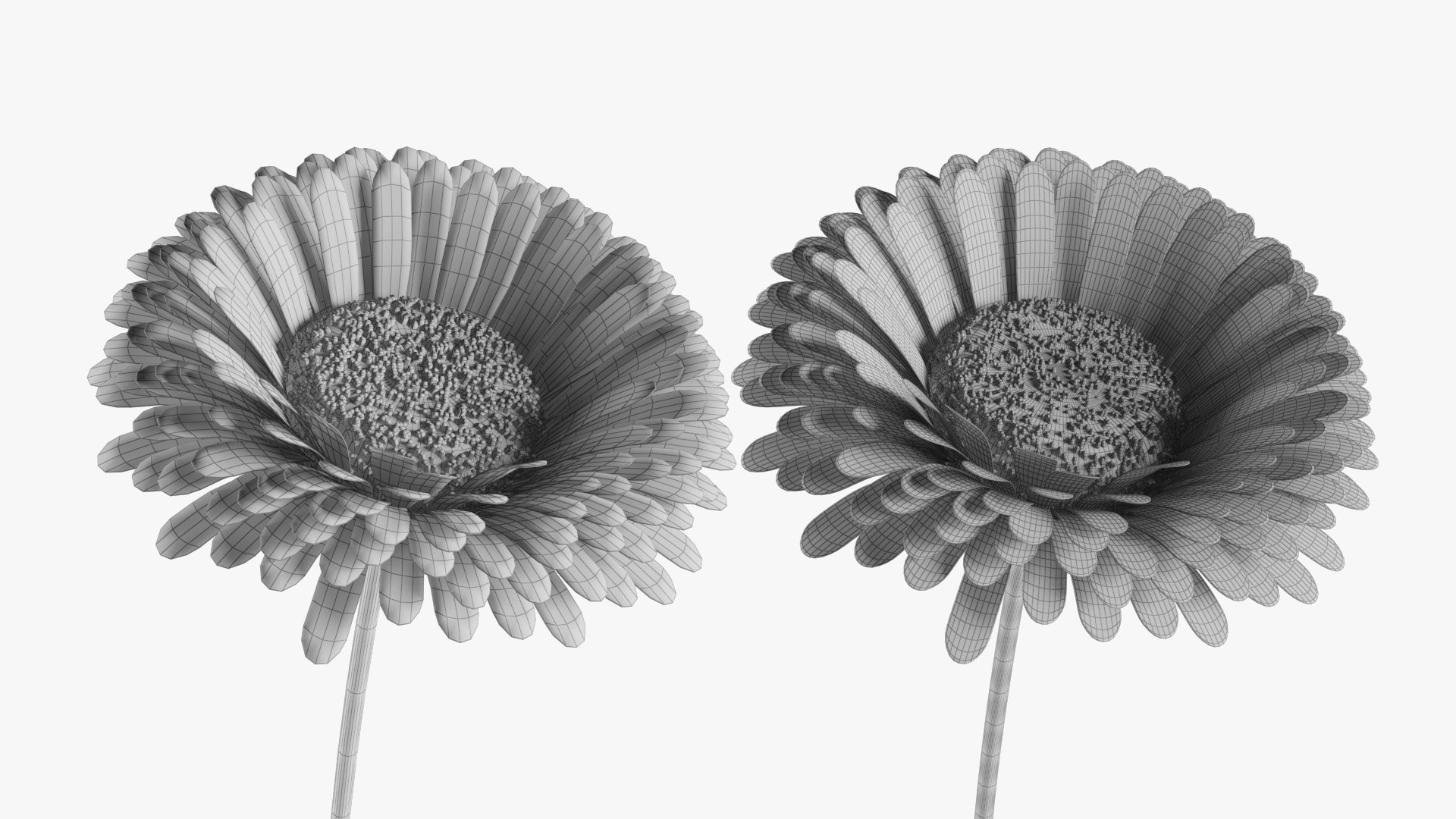 3D model Flowers Bouquet Set https://p.turbosquid.com/ts-thumb/KV/3L4Rk6/Ns/bwire04/jpg/1755015628/1920x1080/fit_q87/80a5a75363a252c07f864cc142f52f815a77ad2c/bwire04.jpg