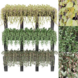 Collection plant vol 8 3D model