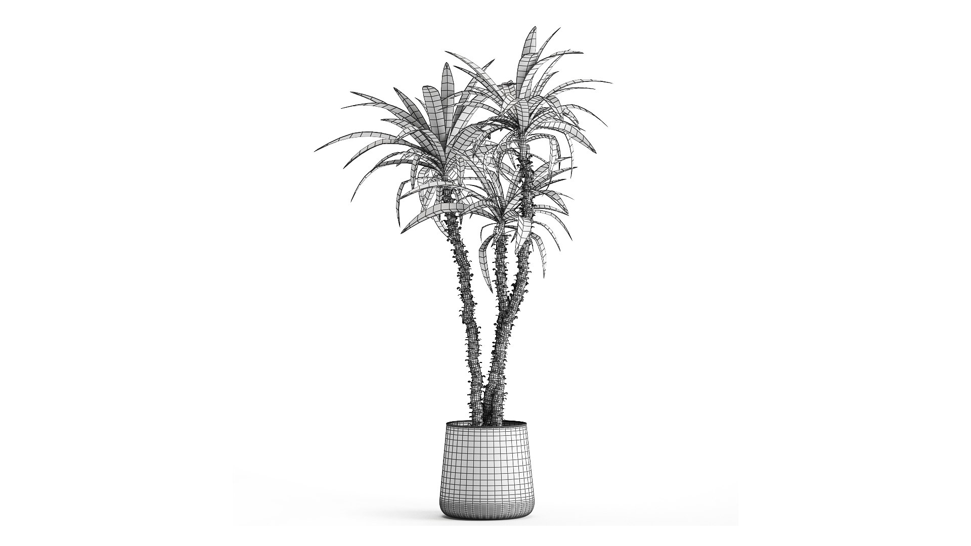 3D model Dracaena in a flowerpot for the interior 1010 https://p.turbosquid.com/ts-thumb/KV/7rElsW/AH/1dracaena12806202109/jpg/1624965891/1920x1080/fit_q87/034ae22f96a5ac9a010ce480962fc6524b163aba/1dracaena12806202109.jpg