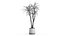 인테리어 용 화분에 담긴 Dracaena 1010