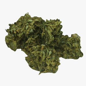 marijuana weed 3D