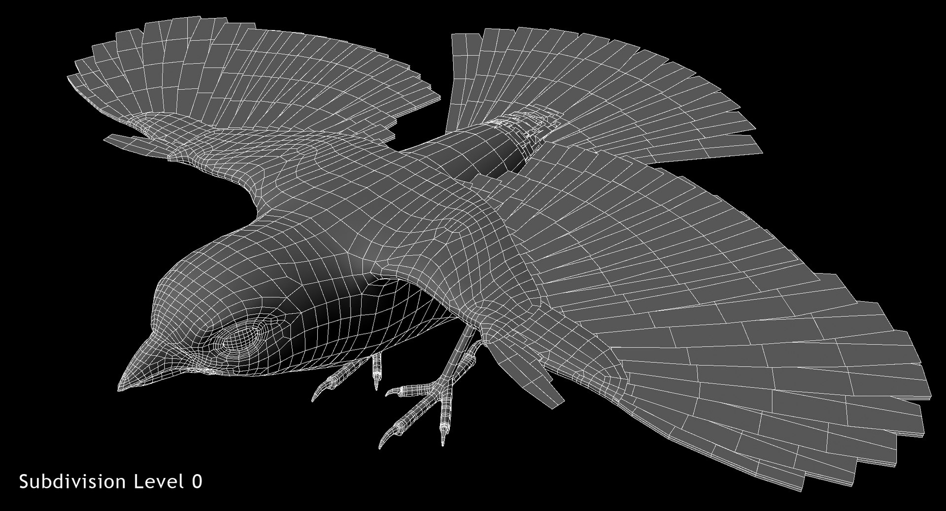 Domestic canary animation 3D model - TurboSquid 1386638