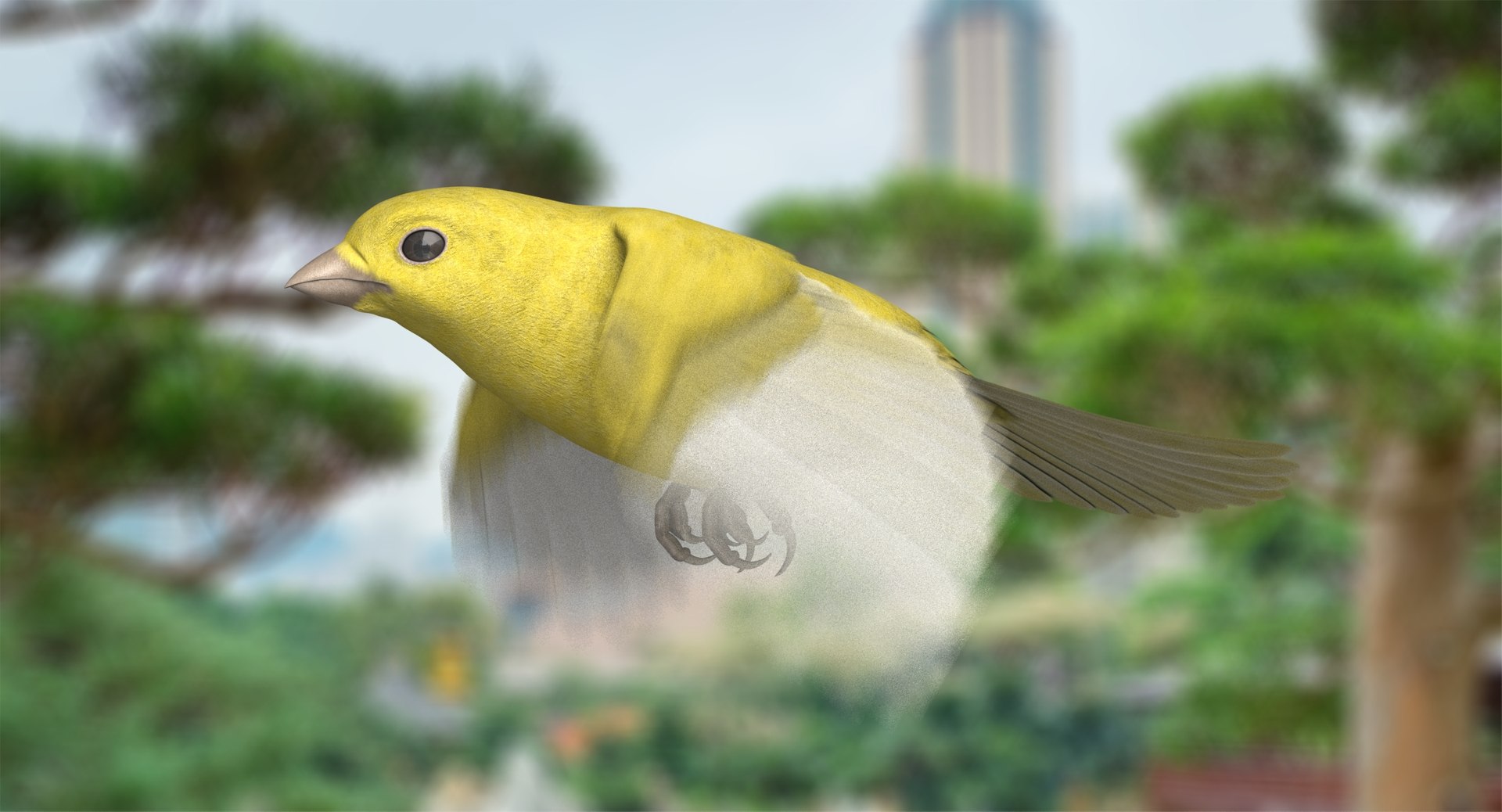 Domestic Canary Animation 3D Model - TurboSquid 1386638