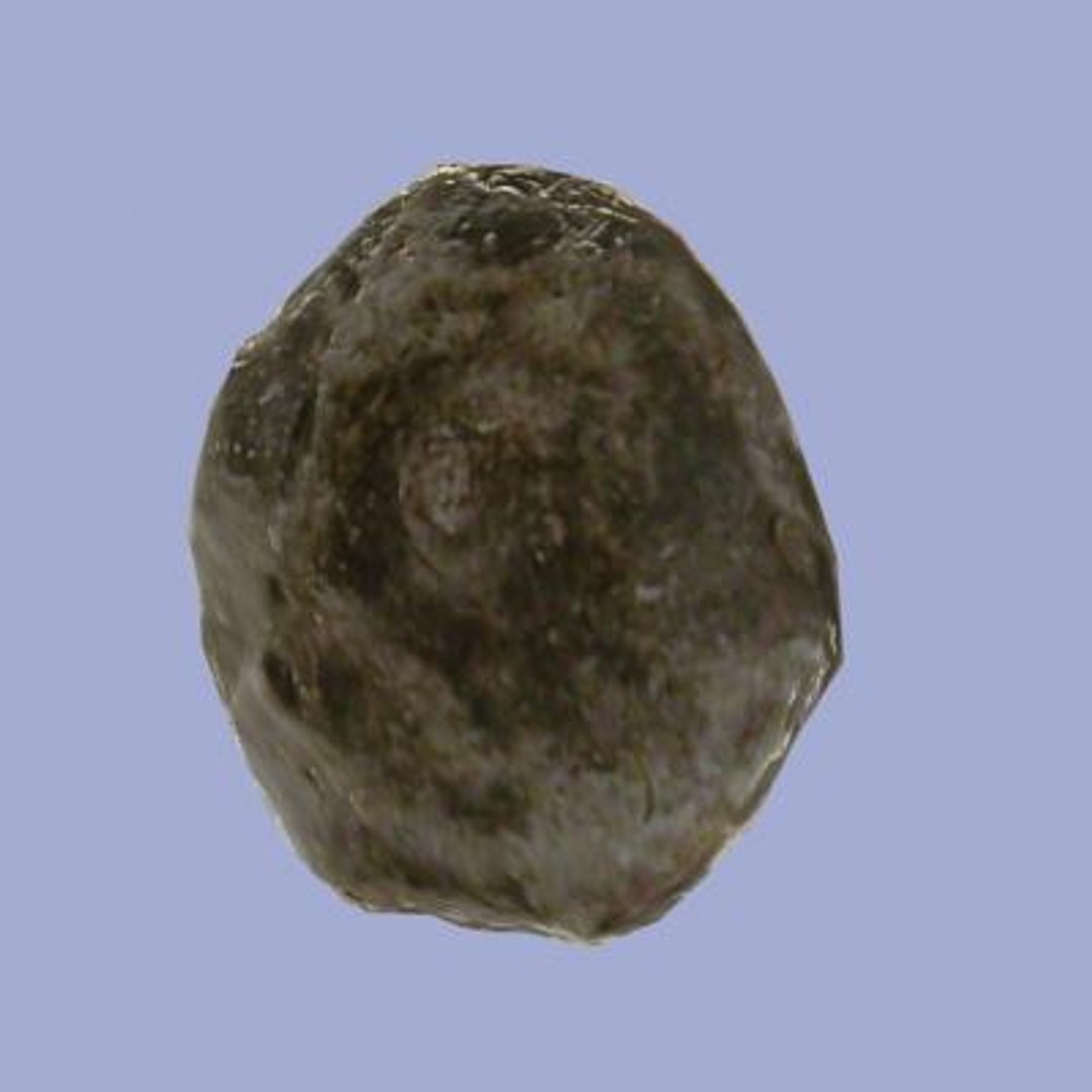 3ds max ammonite fossil https://p.turbosquid.com/ts-thumb/KV/Ov4cBu/AKanLNPB/4/jpg/1291216014/1920x1080/fit_q87/69c104b6068bfd584f9b606b016f44ed6b7d9669/4.jpg