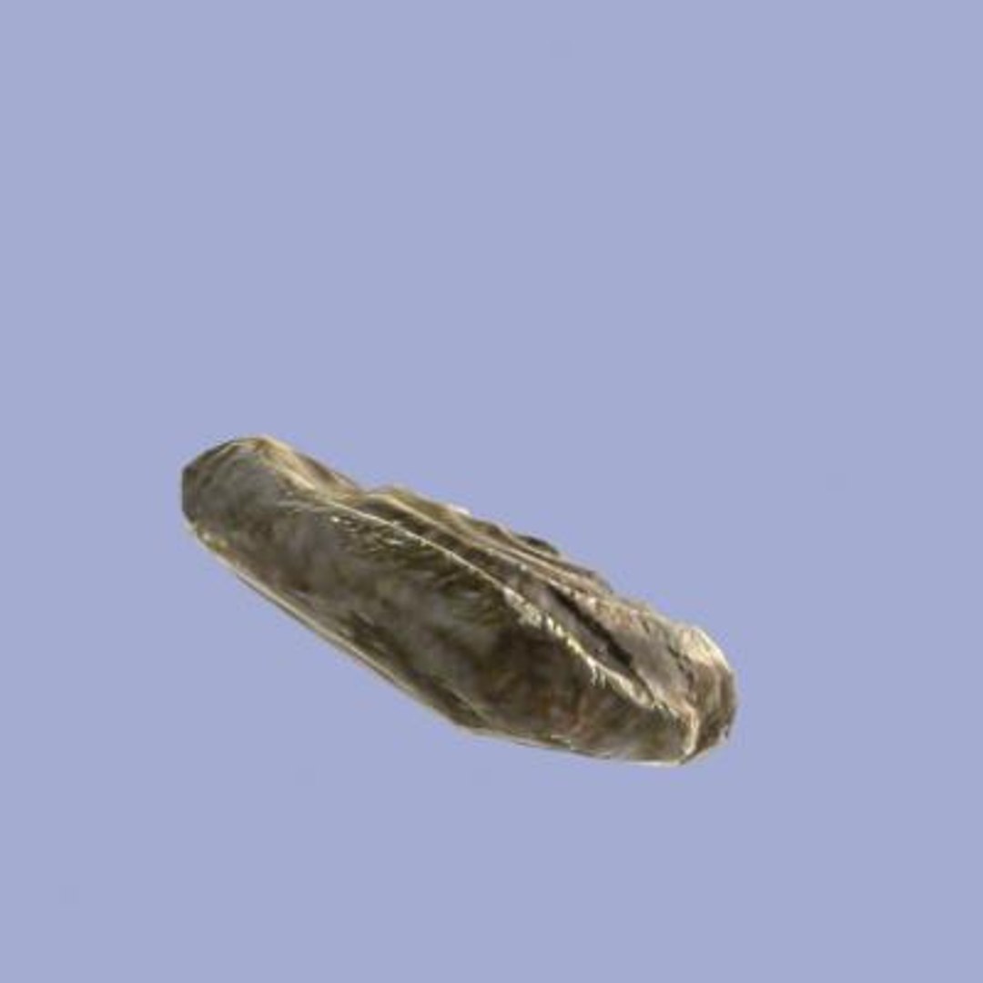 3ds max ammonite fossil https://p.turbosquid.com/ts-thumb/KV/Ov4cBu/gX2SZ7je/3/jpg/1291216014/1920x1080/fit_q87/6ae8e8186e529555f7727e01f59d2027074c108b/3.jpg