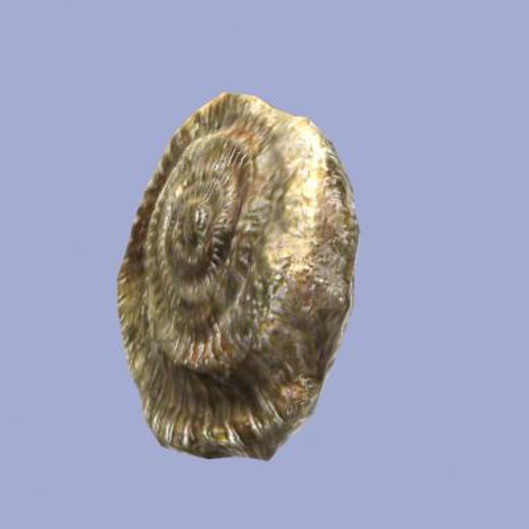3ds max ammonite fossil https://p.turbosquid.com/ts-thumb/KV/Ov4cBu/j3emxJ6G/2/jpg/1291216014/1920x1080/fit_q87/79d797f62453d46bdabd930d53536f0eefa6309a/2.jpg