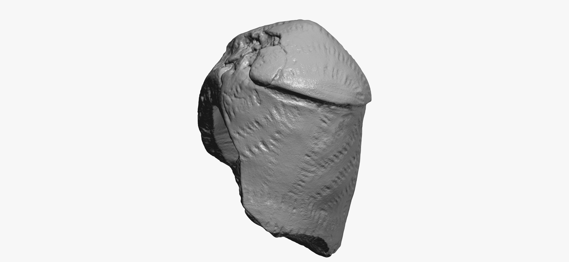3D model Medieval Phalus Cover 01 RAW Scan - TurboSquid 1793601
