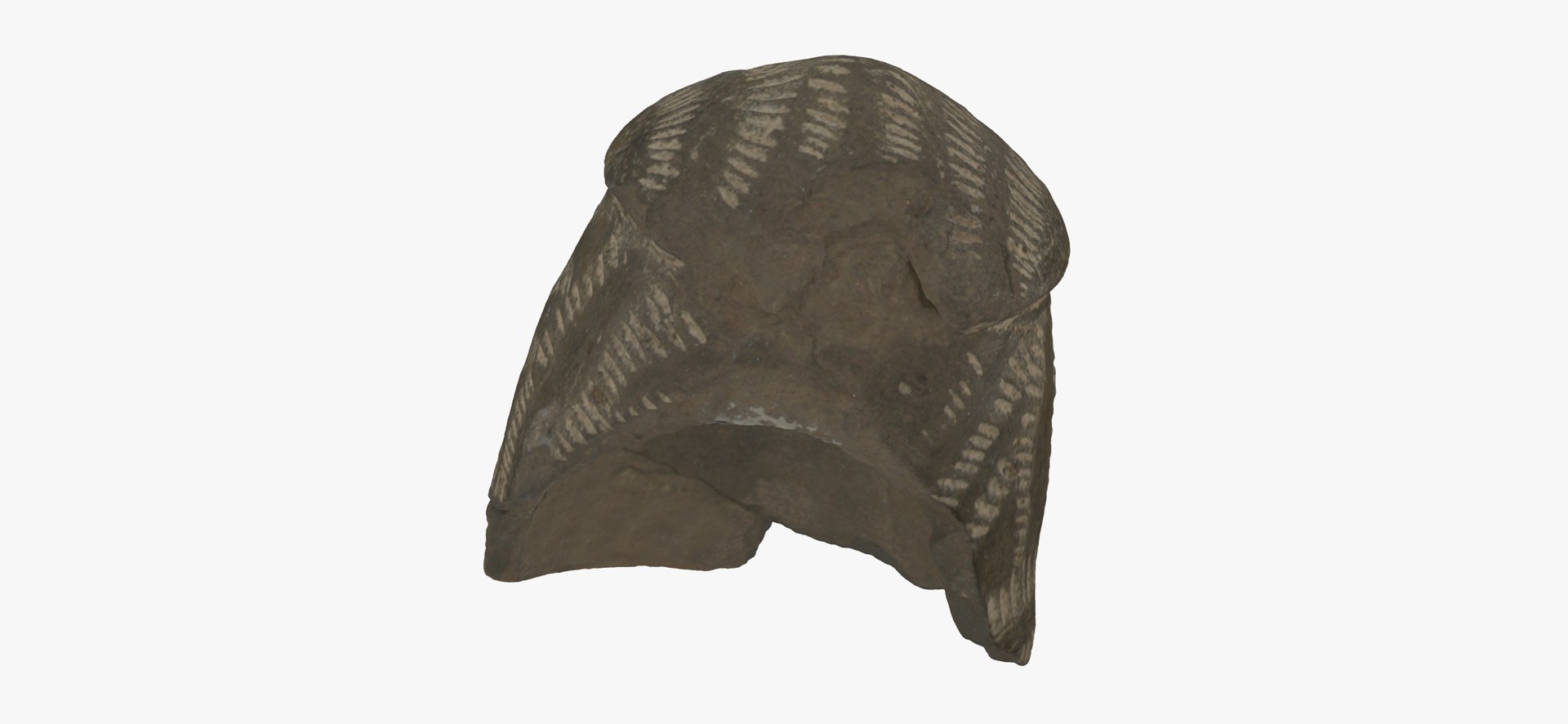 3D model Medieval Phalus Cover 01 RAW Scan - TurboSquid 1793601
