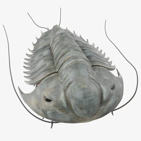 trilobite extinct marine arachnomorph 3D model