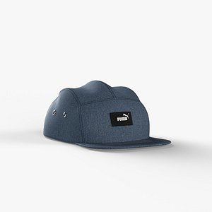5 panel cap 3D